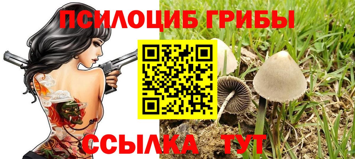 Галлюциногенные грибы мухоморы  закладка  Саянск  Псилоцибиновые грибы MAGIC MUSHROOMS  Вход с VPN 